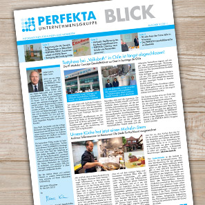 Perfekta Blick 2011 Ausgabe 3